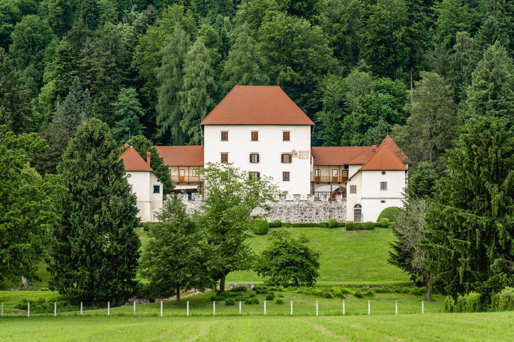 Willa Grad Strmol Cerklje na Gorenjskem Zewnętrze zdjęcie