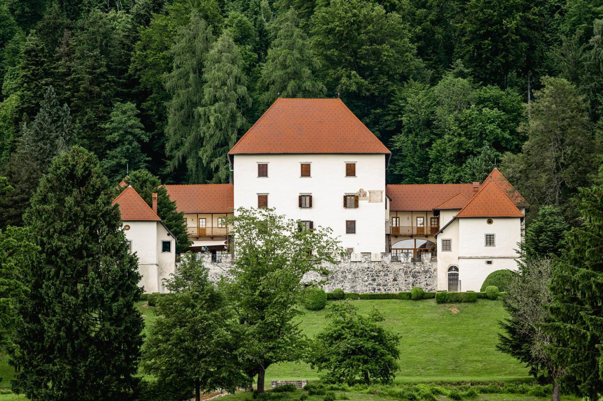 Willa Grad Strmol Cerklje na Gorenjskem Zewnętrze zdjęcie